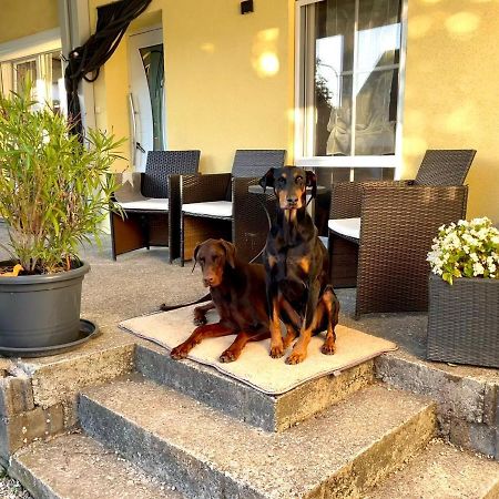 Ferienwohnung Toja Aletshausen エクステリア 写真